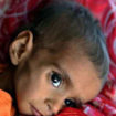 Famine claims two more in Tharparkar